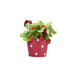 Polka Dotted Metal Railing Pots / 8 inches